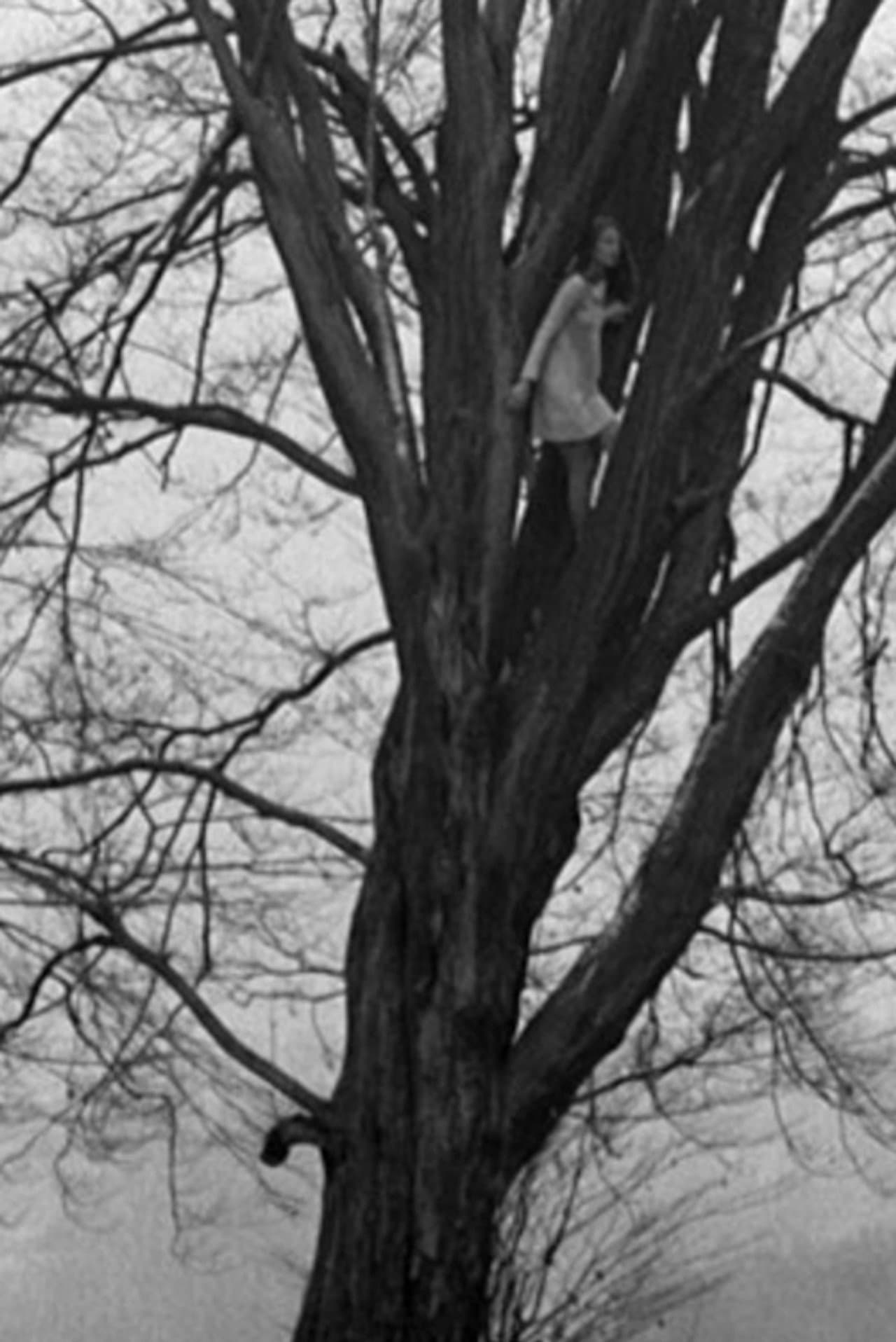 Foundling-Bird