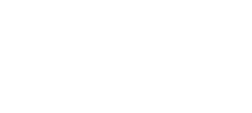 The Christmas Bow