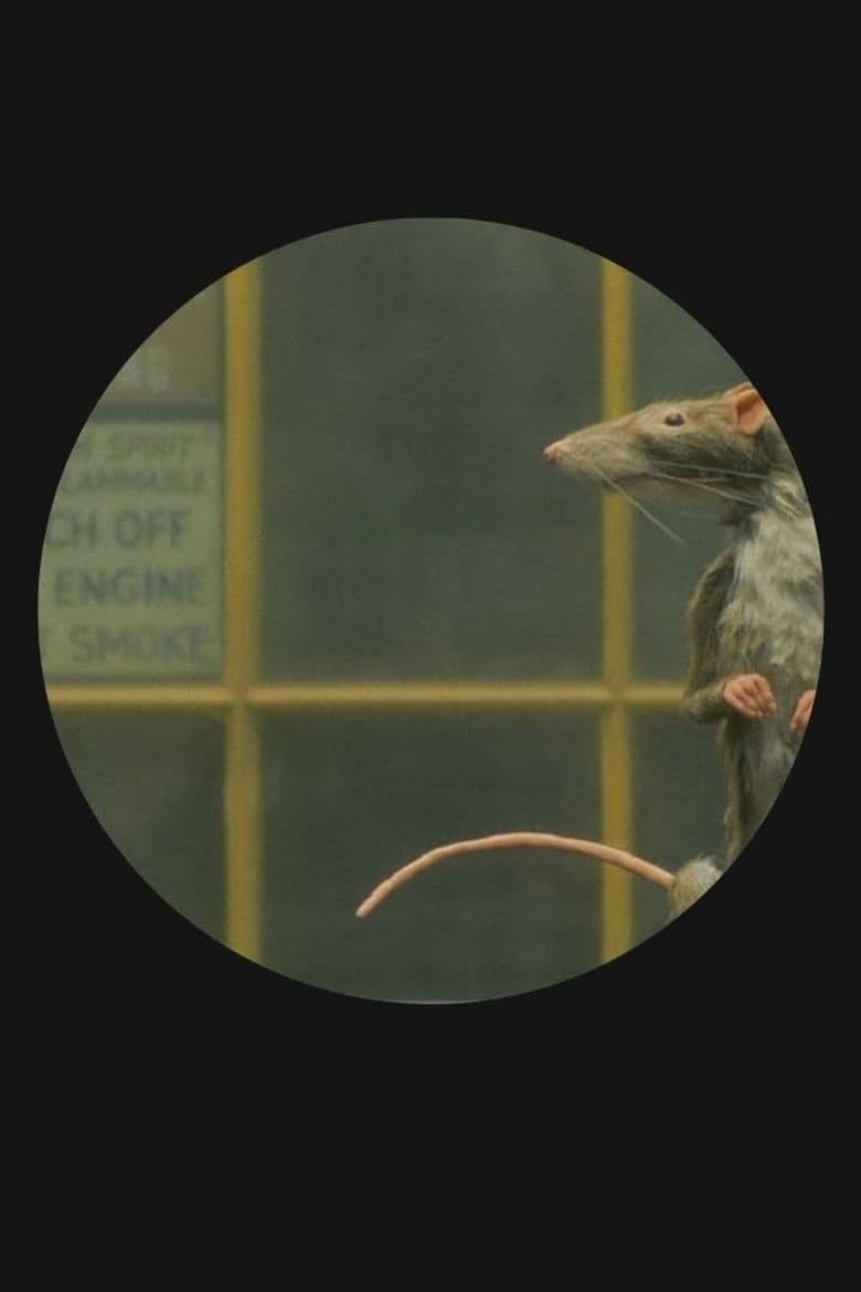 The Rat Catcher