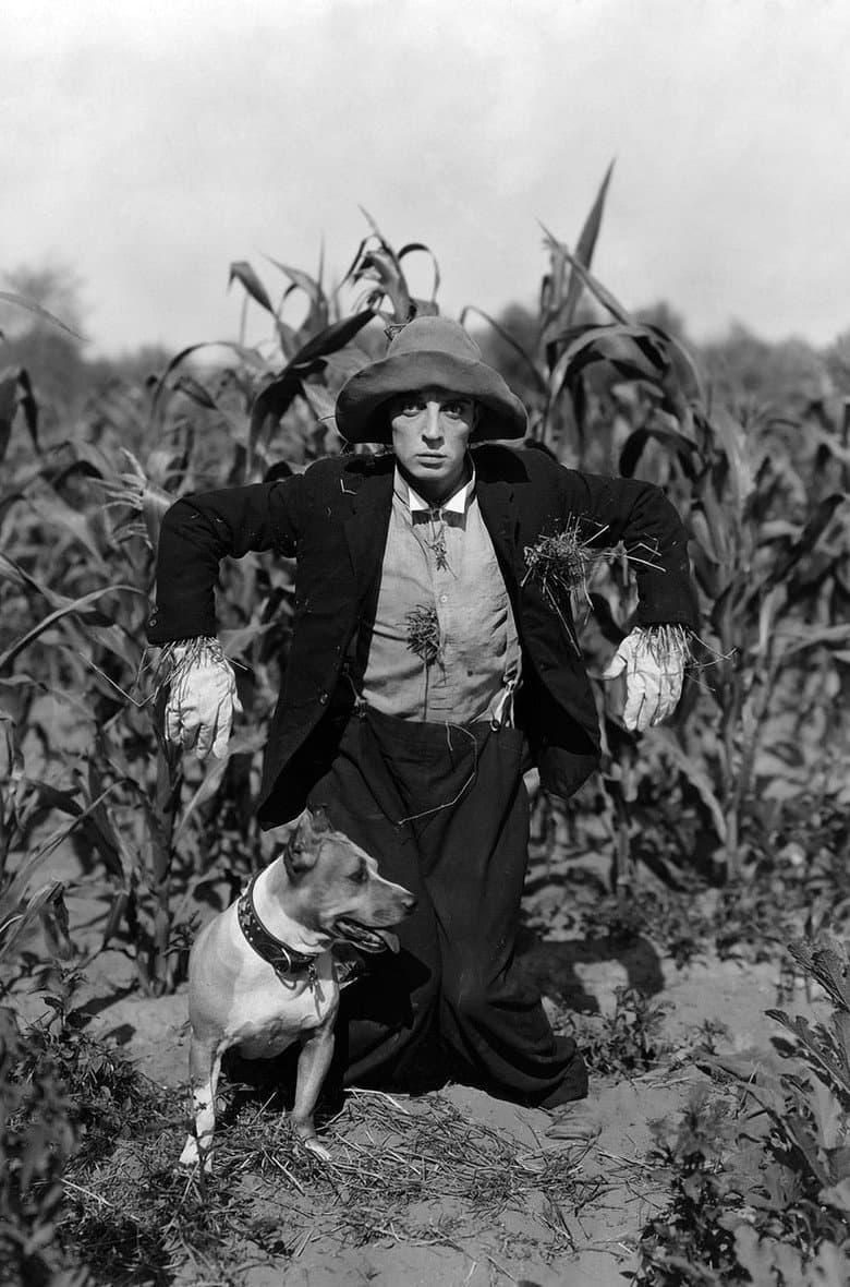 The Scarecrow