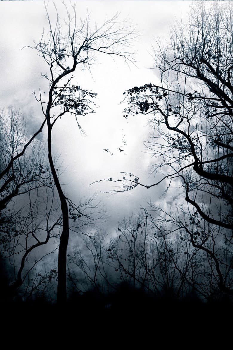 Premonition
